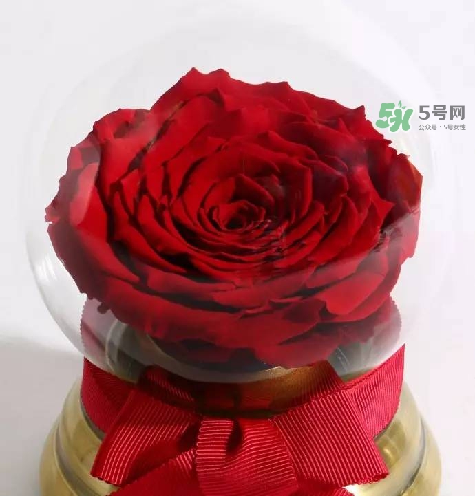 野獸派2017七夕禮盒有哪些？野獸派2017七夕禮盒價格