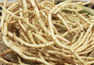 折耳根能生吃嗎？折耳根生吃還是熟吃好