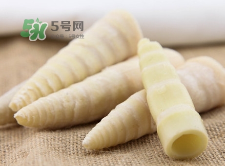 苦筍是什么竹子？苦筍是發(fā)物嗎