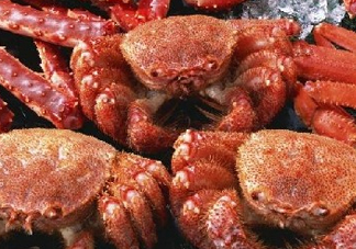 板蟹和帝王蟹哪個(gè)好吃？板蟹和帝王蟹區(qū)別