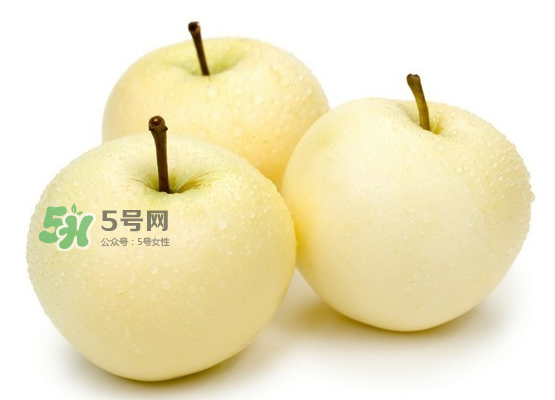 雪梨是涼性還是熱性？雪梨是寒性水果嗎？