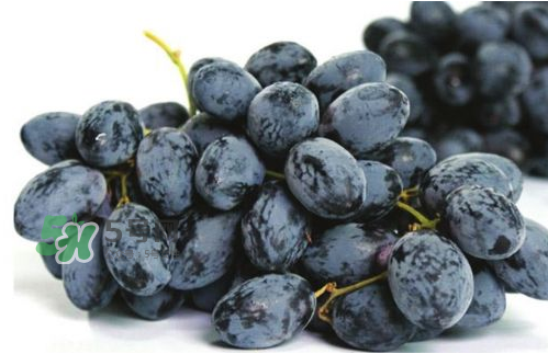 黑提子多少錢一斤2022 黑提為什么那么貴 黑提子多少錢一斤2022 黑提為什么那么貴