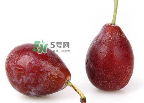 烏梅是西梅嗎？烏梅和西梅的區(qū)別