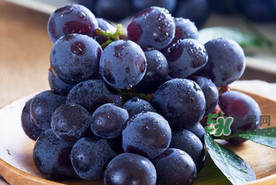 黑提子是涼性還是熱性？黑提是熱性還是涼性？