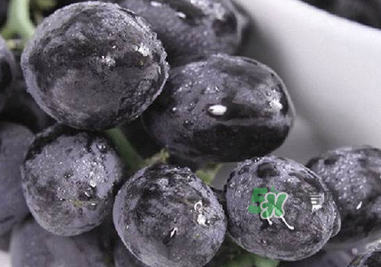 黑提子是涼性還是熱性？黑提是熱性還是涼性？