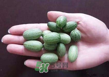 拇指西瓜怎么吃？拇指西瓜好吃嗎