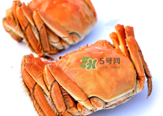 板蟹蒸多長(zhǎng)時(shí)間？板蟹蒸多久時(shí)間能熟？