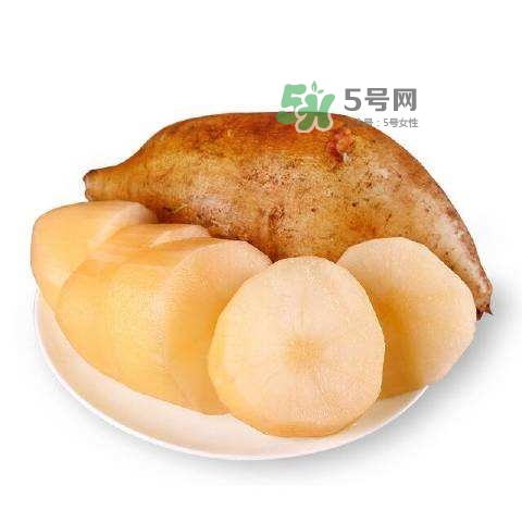 雪蓮果怎么挑？雪蓮果怎么儲存方法？