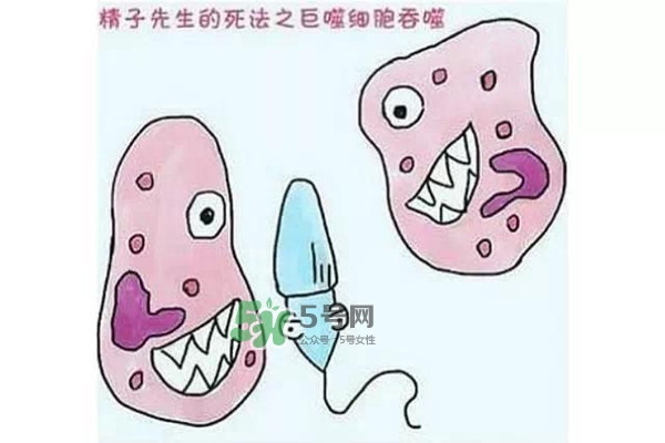 殺精的食物有哪些？吃什么東西殺精？