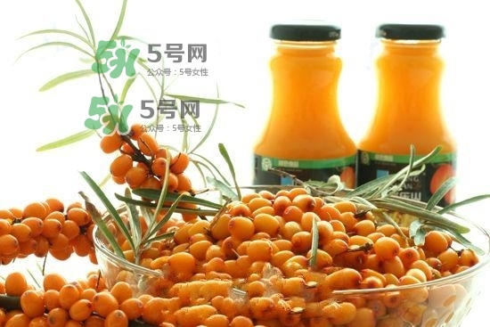 沙棘是什么？沙棘的功效與作用