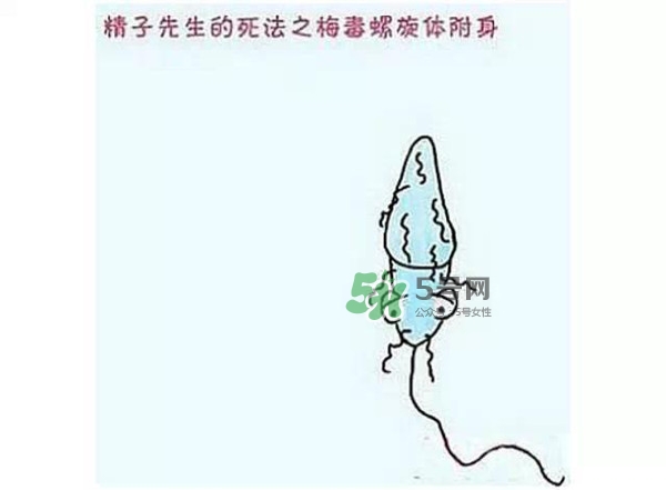 殺精的食物有哪些？吃什么東西殺精？