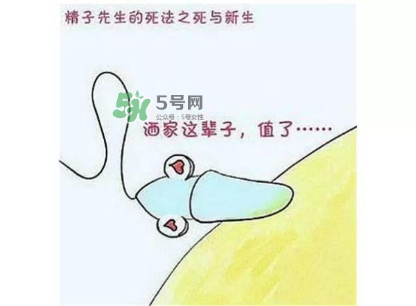 殺精的食物有哪些？吃什么東西殺精？