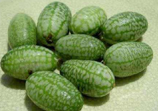 世界上最小西瓜是拇指西瓜嗎？世界上最小西瓜帶皮吃嗎