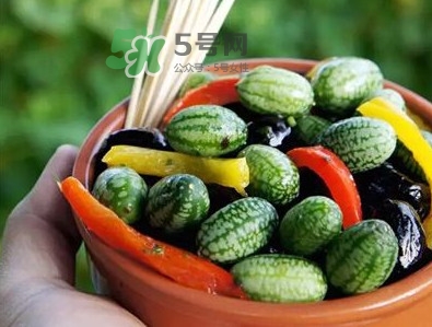 拇指西瓜什么時候種植最好？拇指西瓜哪里可以買到