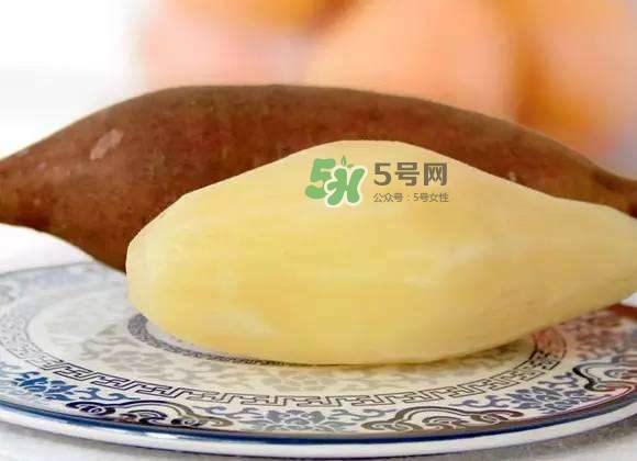 雪蓮果是地瓜嗎？雪蓮果和紅薯的區(qū)別