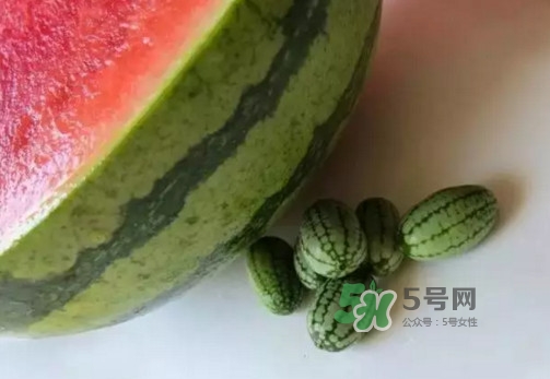 拇指西瓜多少錢一斤？拇指西瓜一口能吃幾個？