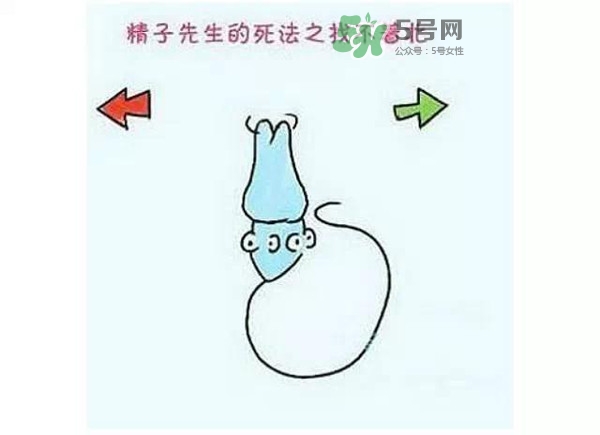 殺精的食物有哪些？吃什么東西殺精？