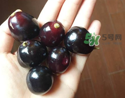 烏梅是酸性還是堿性？烏梅是熱性還是涼性