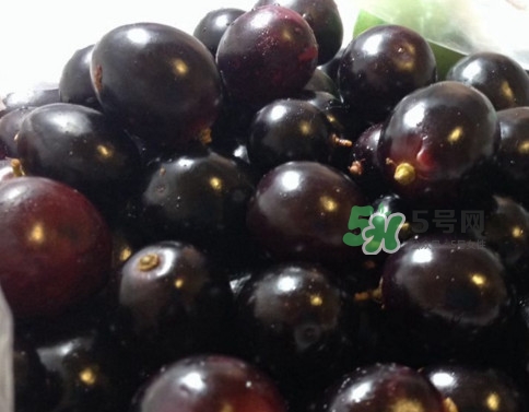 烏梅是綠色的正常嗎？烏梅是綠色的能吃嗎