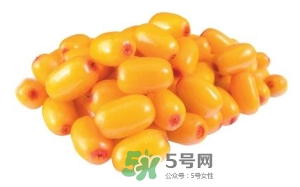 沙棘怎么吃？沙棘果的食用禁忌