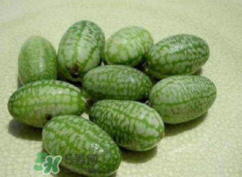 世界上最小西瓜是拇指西瓜嗎？世界上最小西瓜帶皮吃嗎