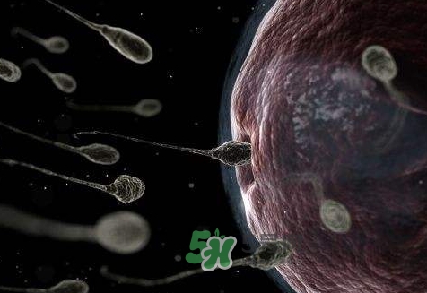 殺精劑避孕可靠嗎？殺精劑避孕要注意什么？