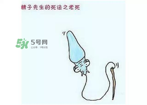 殺精的食物有哪些？吃什么東西殺精？