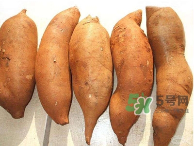 雪蓮果什么時候吃最好？雪蓮果是什么味道？