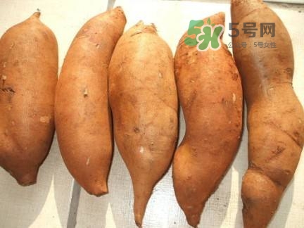 雪蓮果是水果嗎？雪蓮果是什么季節(jié)的水果？