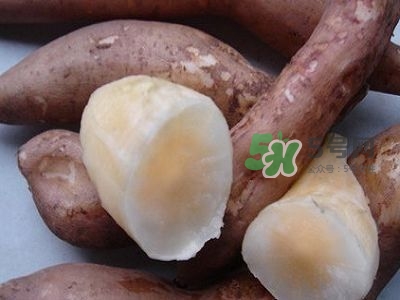 雪蓮果是地瓜嗎？雪蓮果和紅薯的區(qū)別