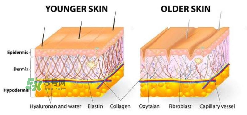 毛孔粗大用什么護(hù)膚品 毛孔粗大原因及對(duì)策 毛孔粗大用什么護(hù)膚品 毛孔粗大原因及對(duì)策