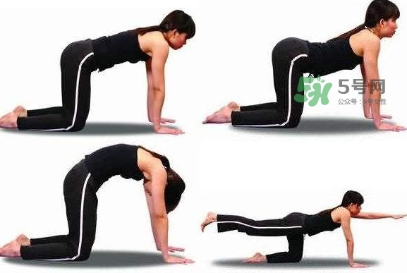 冰激凌線是什么鬼？冰淇淋線怎么鍛煉？