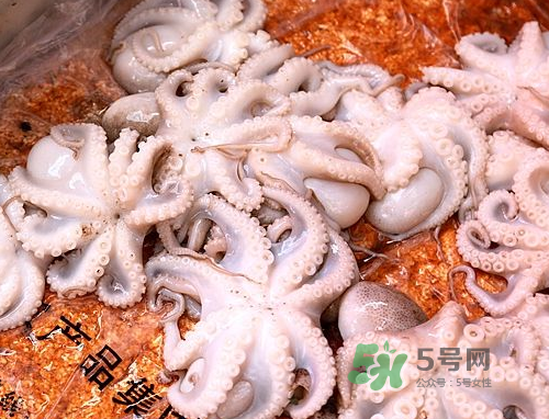 八爪魚可以冷凍嗎？八爪魚可以放冰箱嗎？