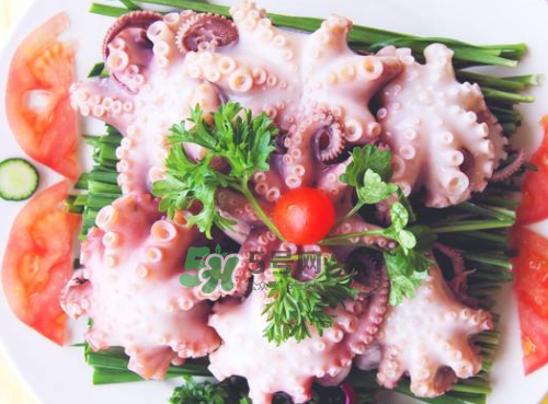 八爪魚什么地方不能吃？八爪魚哪里不能吃？