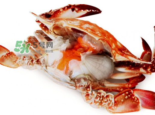 吃梭子蟹會胖嗎？梭子蟹吃了會胖嗎？ 