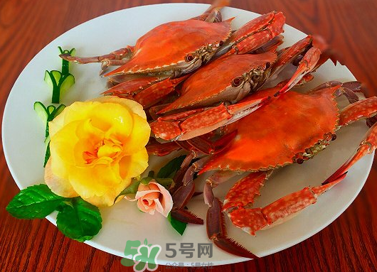 吃梭子蟹會胖嗎？梭子蟹吃了會胖嗎？ 