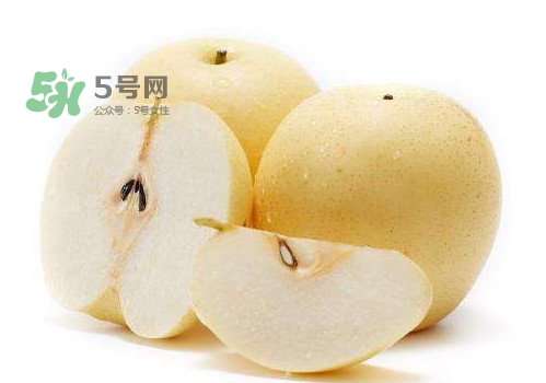 皇冠梨和雪花梨哪個(gè)好？雪花梨和皇冠梨的區(qū)別