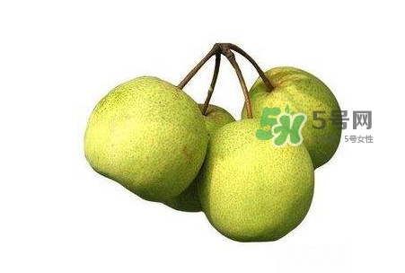 碭山梨好還是皇冠梨好？碭山梨和皇冠梨的區(qū)別