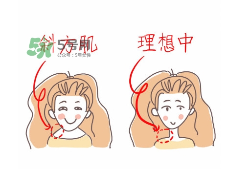 斜方肌怎么消除 斜方肌鍛煉方法