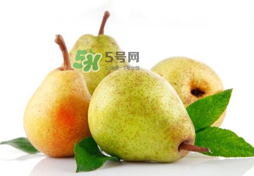 梨子是什么季節(jié)的水果？梨子什么季節(jié)吃最好