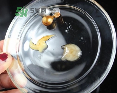 雅頓膠囊有幾種_雅頓膠囊每種有什么不同 雅頓膠囊有幾種_雅頓膠囊每種有什么不同