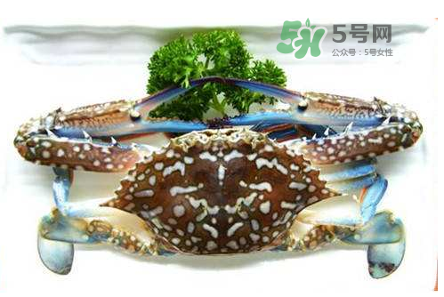 螃蟹腿藍色的是什么？螃蟹腿為什么是藍色？