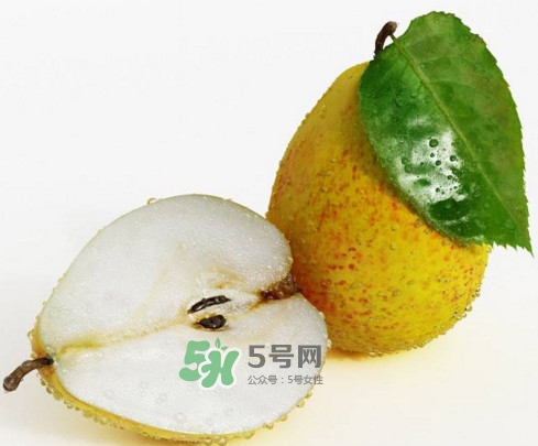 梨子核可以種盆栽嗎？梨子籽怎么種小盆栽