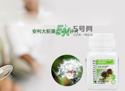 2017護肝片排行榜_護肝片哪個牌子好 2017護肝片排行榜_護肝片哪個牌子好