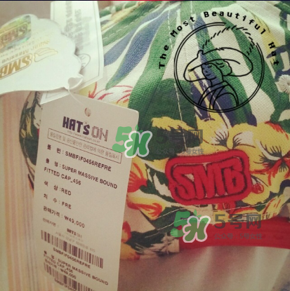 hatson是什么牌子?hatson帽子是什么檔次? hatson是什么牌子?hatson帽子是什么檔次?