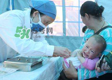 hib疫苗多少錢一針？hib疫苗多少錢？