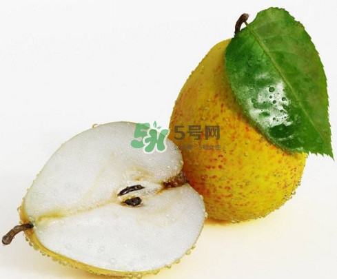 為什么梨子是溫度最高的水果？梨子什么人不能吃