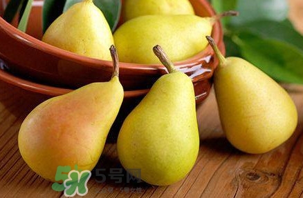 哪里的梨子最好吃？什么品種的梨子最好吃