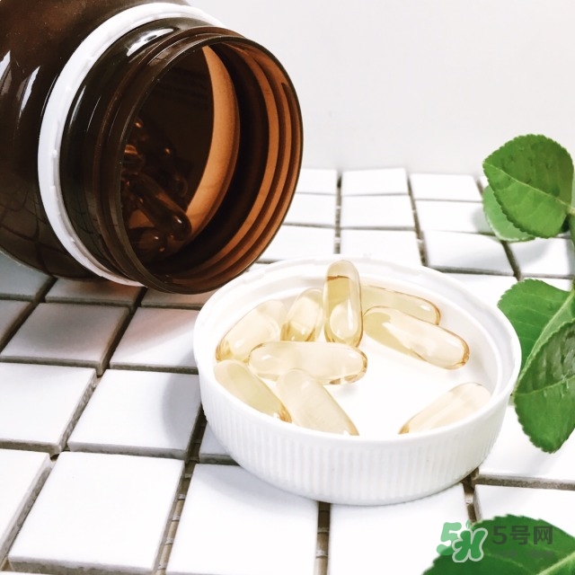 月見草膠囊一天吃幾粒_月見草膠囊什么時(shí)候吃 月見草膠囊一天吃幾粒_月見草膠囊什么時(shí)候吃