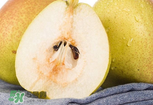 梨子核可以種盆栽嗎？梨子籽怎么種小盆栽